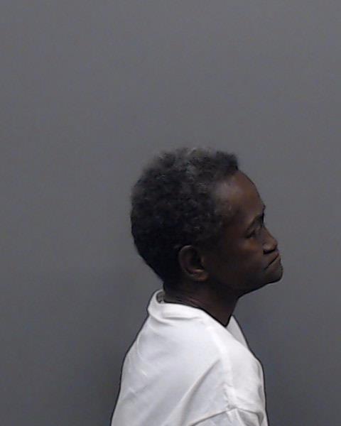 CRAYTON, VERDIS MAE booking photo