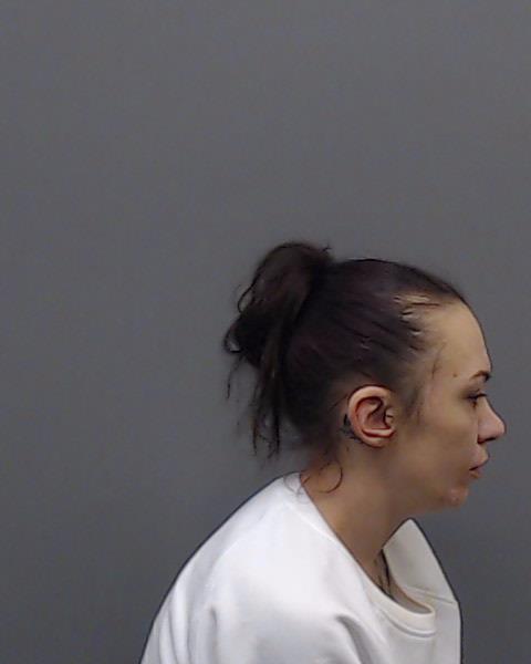 MEDEIROS, KRYSTLE BRANDI booking photo