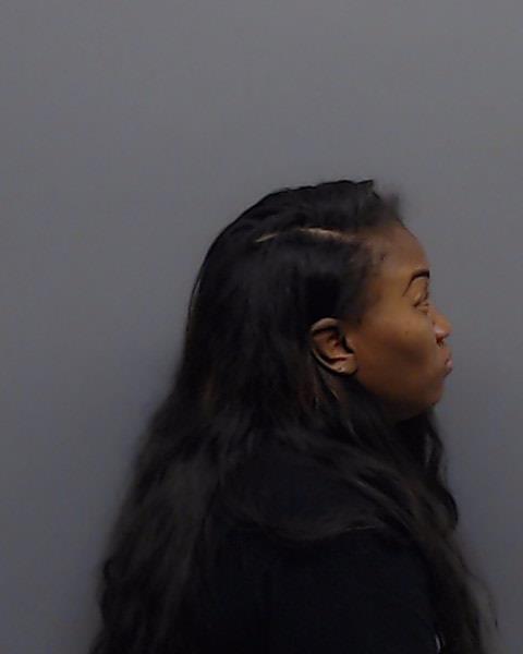 TILLEY, NATASHA NICHELLE booking photo