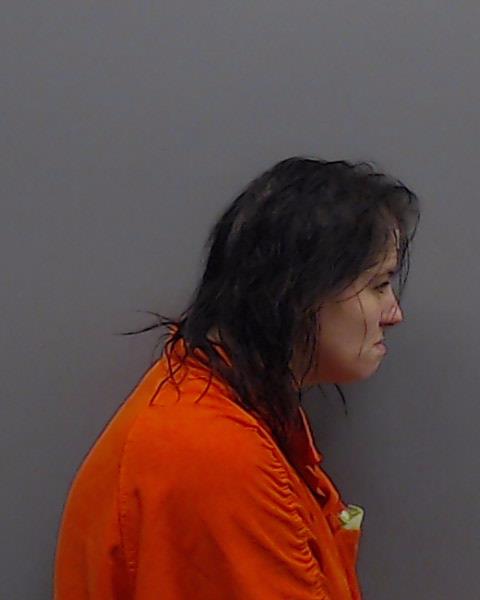 LIES, RACHAEL NICHOLE booking photo