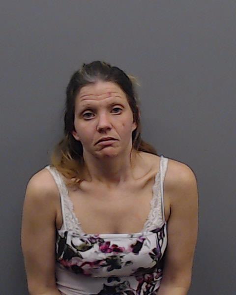 PIGOTT, KENDRA MICHELLE booking photo