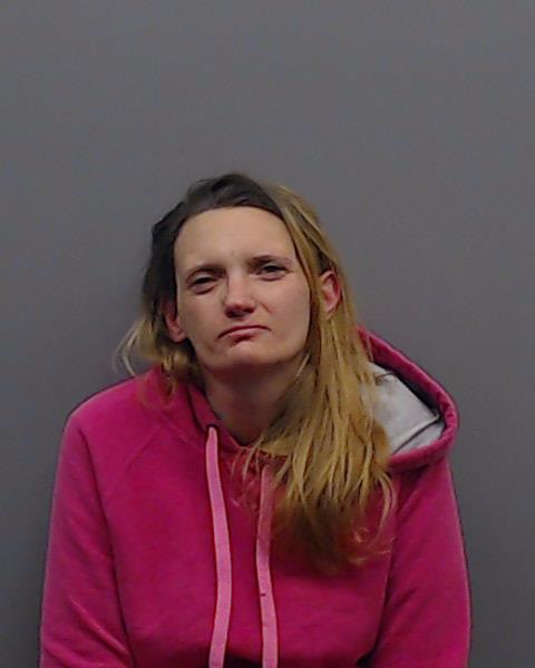 PARKER, CHRISTY LYNN booking photo