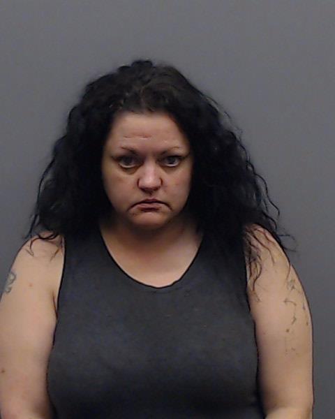 APARICIO, JESSICA PEARL booking photo