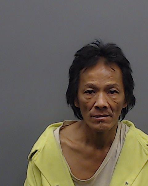 DOAN, DO VAN booking photo