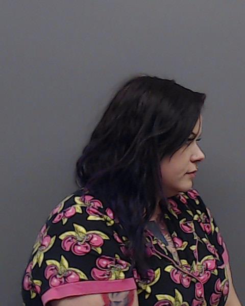 HEATHER, REBECCA CAROLINE booking photo