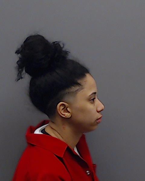 SHIFLETT, NATASHA ANNE booking photo