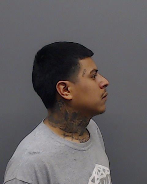 MARTINEZ, ALECXIS booking photo