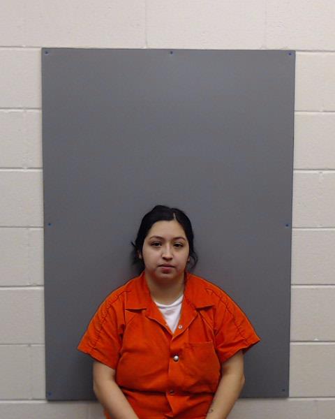 HERNANDEZ, LUCERO booking photo