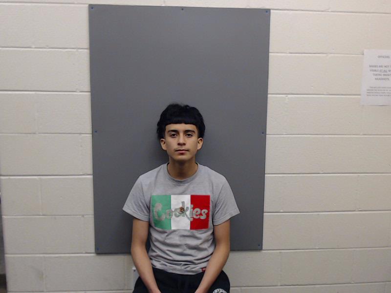 NAVARRO, MANUEL booking photo