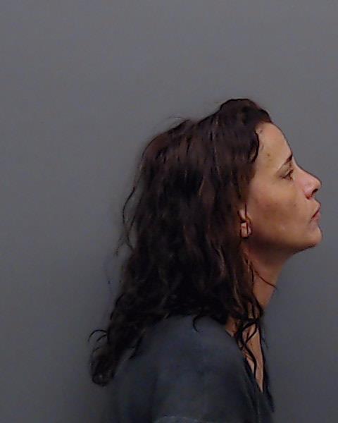 ROLAND, AMANDA DENISE booking photo