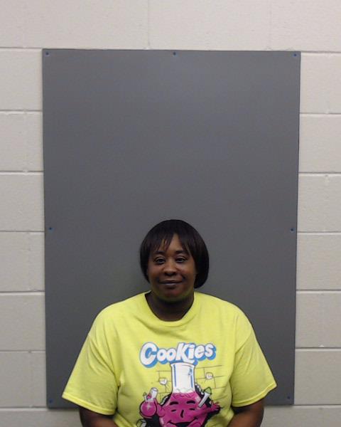 BIRCHER, DONNIKI ROSHELLE booking photo