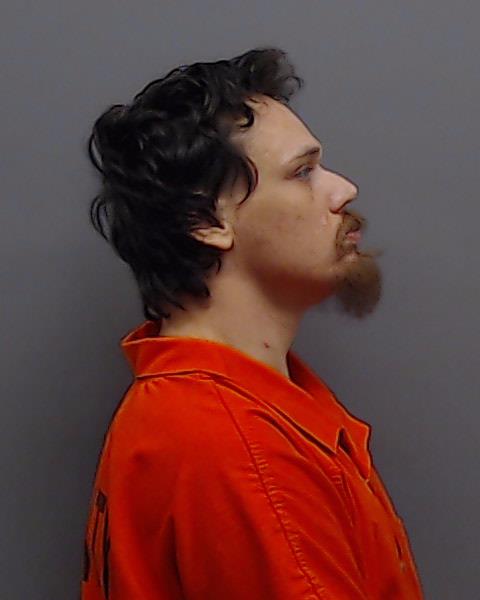 GEORGE, MATTHEW DILLON booking photo