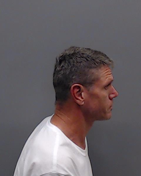 ELLIS, DANE K booking photo