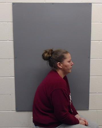 PRICE, SARAH LYNN booking photo