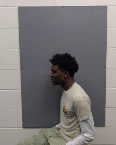 MARTIN, DETTRICK LAMON booking photo