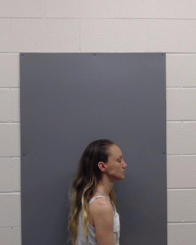 DUNCAN, TRACY JO booking photo