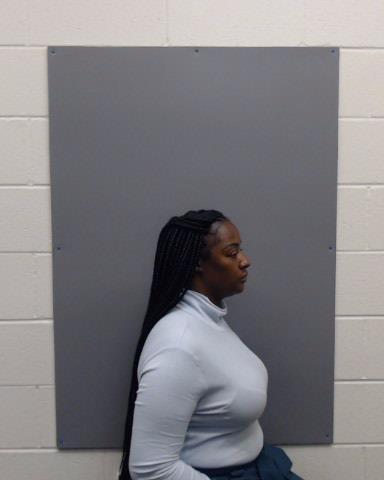 HAMILTON, SHANEKA booking photo