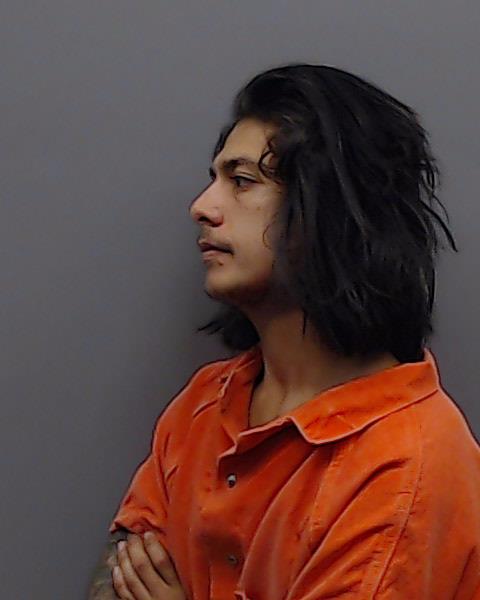 SCHIFFMAN, MARK ANTHONY booking photo