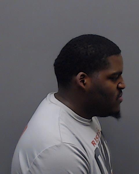 VANDERSON SIDNEY, JALYNN DENZEL booking photo