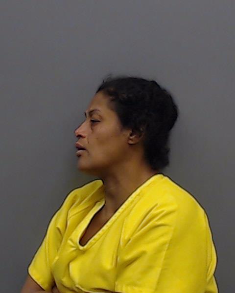 CRUZ, SONIA booking photo