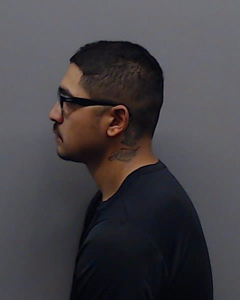 DIAZ, JOHAN booking photo