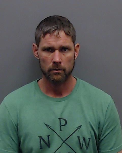 KING, DAVID LEE booking photo