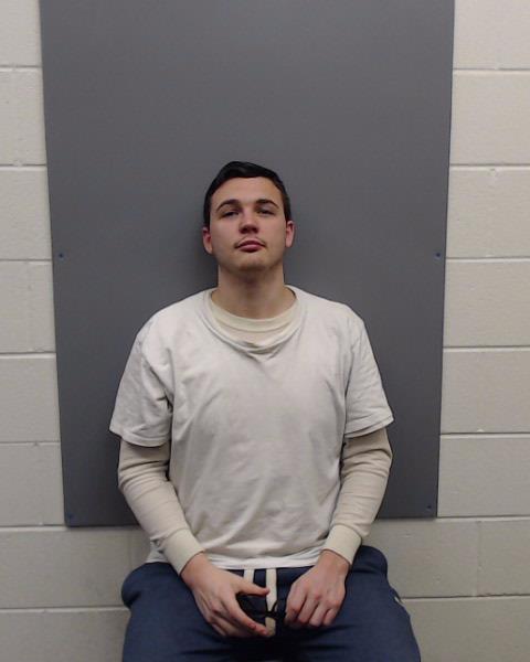 NABER, DAVID AARON booking photo