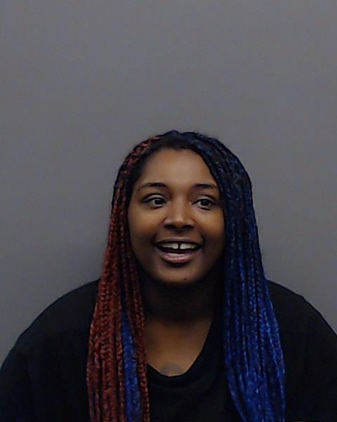 SANDERS, BREANNA LYNN booking photo