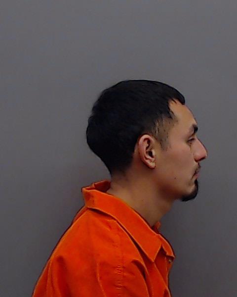 SANTANA, OMAR JR booking photo