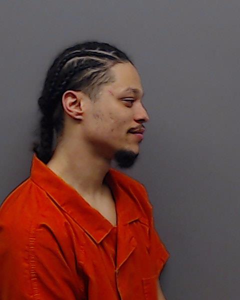 WILLIAMS, DANIEL DEVONTE booking photo