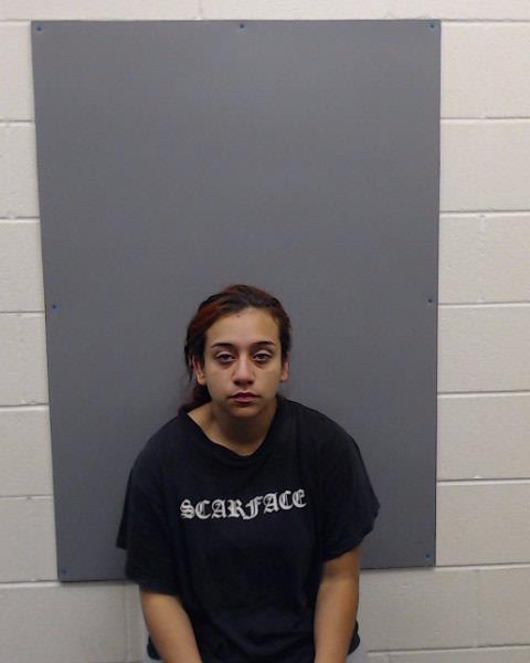 DIEZ, ROSALINDA ISELA booking photo