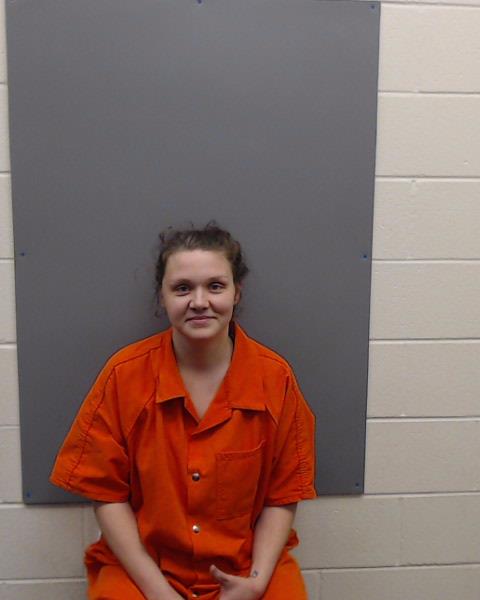 CLEMONS, NICOLE LEIGH booking photo