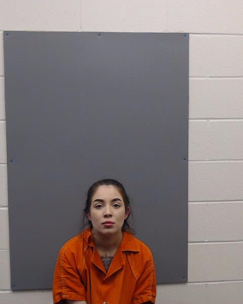 GILMORE, ALEXA NICOLE booking photo