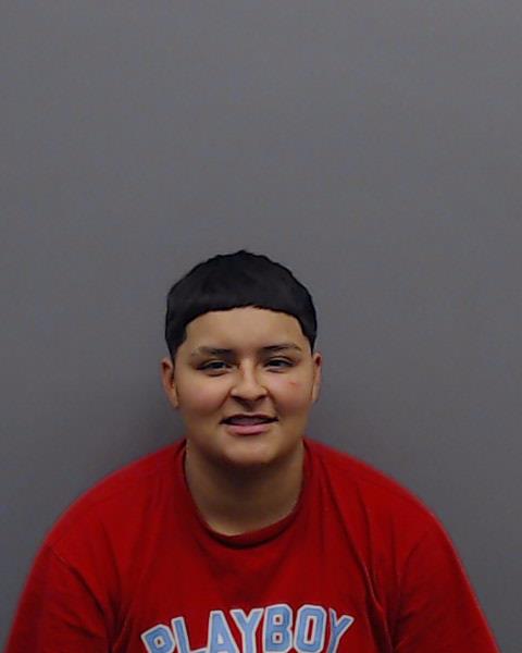 VENEGAS, LESLIE MONIQUE booking photo