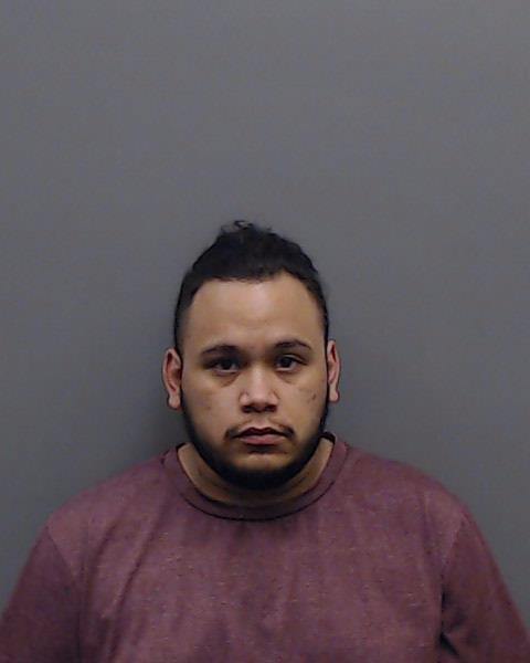 VALLEJO, JOSE PABLO booking photo