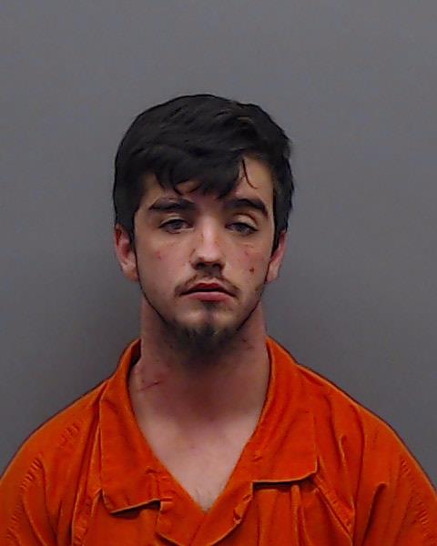 JOHNSON, BRENT DAVID booking photo