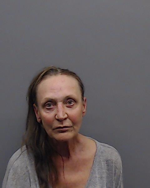 GOODFRIED, MICHAELENE B. booking photo