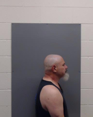 DAVIS, BRYAN ADARIAN booking photo
