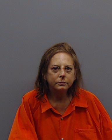 NETZEL, DAWN RENEE booking photo