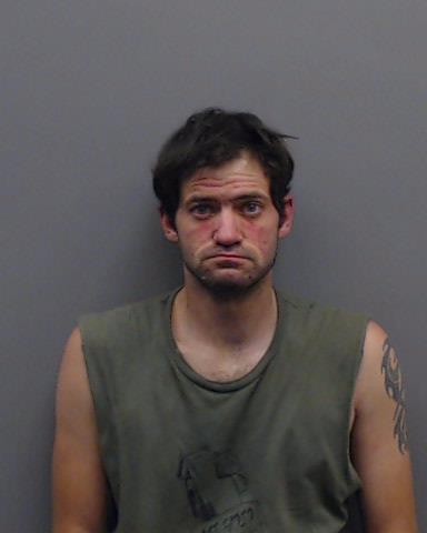 BLEDSOE, CHARLES WAYNE booking photo