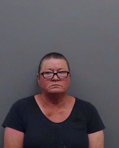 WORKMAN, SHERI LEWIS booking photo
