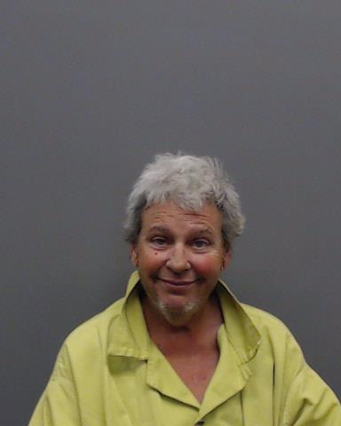 CARAGONNE-CHILCOTT, CHRYSOULA booking photo