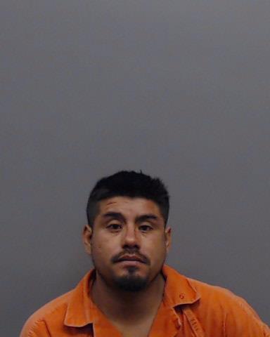 PEREZ-GOYTIA, RICHARD booking photo