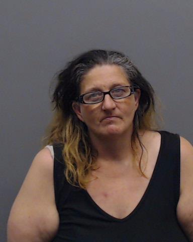 FOSTER, SHANNON LACY booking photo