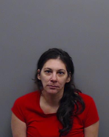 MCINNIS, SARA LYNN booking photo