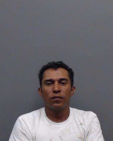 DIAZ-MIDENCE, WALTER MAURICIO booking photo