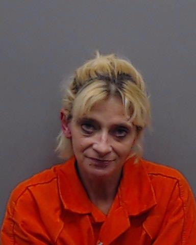 DAVIS, LISA MICHELLE booking photo