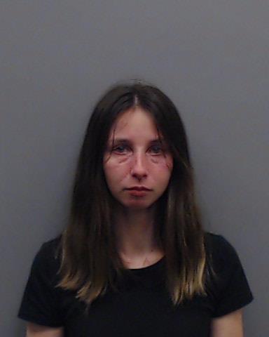 MITCHELL, AVERI DELIGHT booking photo