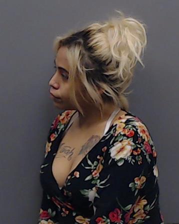 BRISENO, DAYANA arrested by Smith County SO/PD