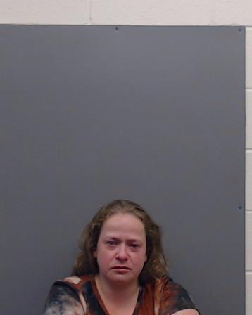 TANNER, ANDREA SOMER booking photo